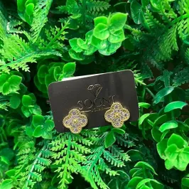 BR VIRGNIA CRAVEJADO