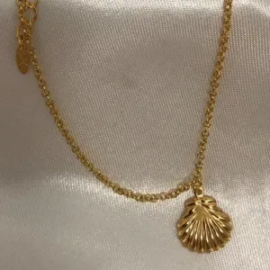 TORNOZELEIRA DUPLA CONHA