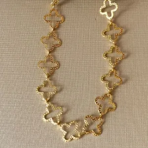 PULSEIRA VIRGINIA TREVOS