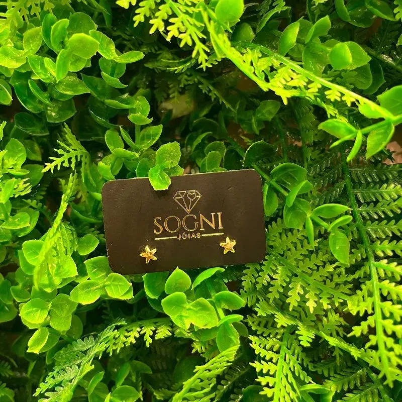 BR ESTRELAH 18K