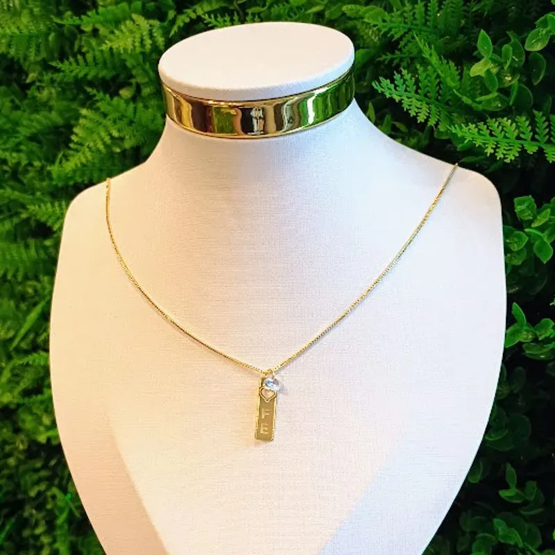 GARG PLACA FE 45CM + 5CM