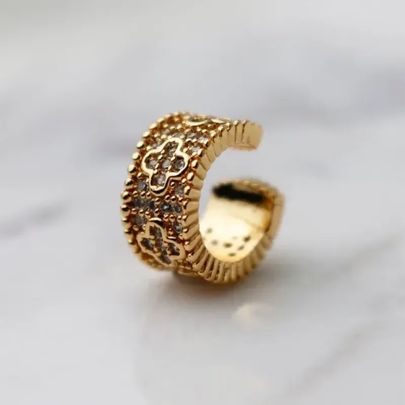 PIERCING FAKE VIRGINIA CRAV