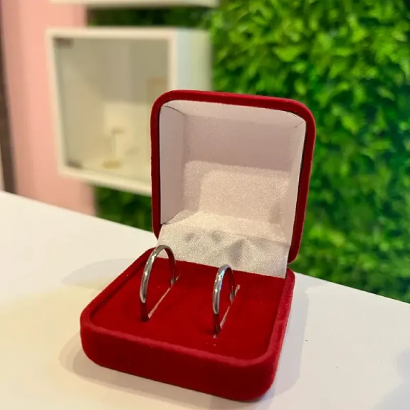 ALIANCA AÇO RED INOX