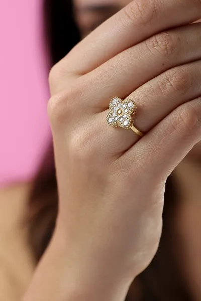 ANEL VIRGINIA CRAVEJADO