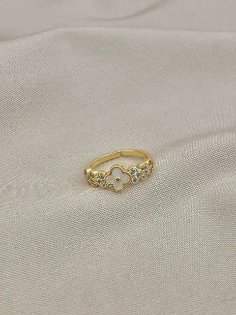 ANEL VIRGINIA CRAVEJADO - REGULAVEL