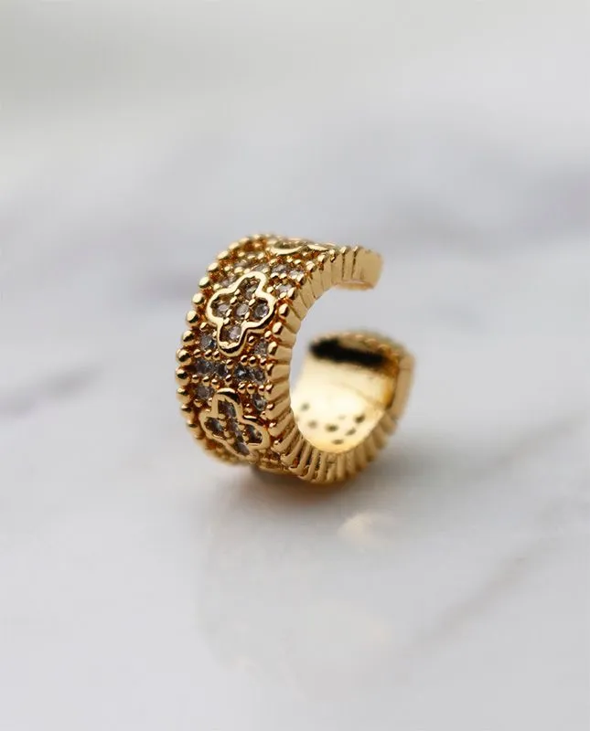 PIERCING FAKE VIRGINIA CRAV