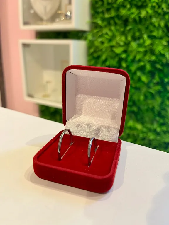 ALIANCA AÇO RED INOX